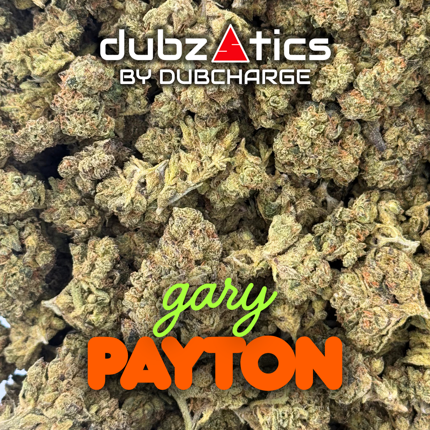 DubZotics Indoor Exotics THC-A Flower