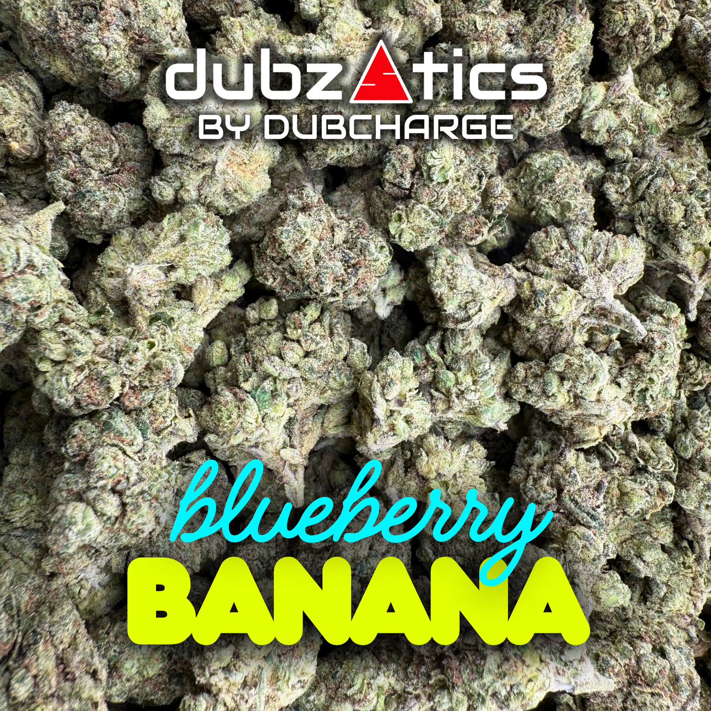 DubZotics Indoor Exotics THC-A Flower